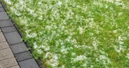 Burza z gradobiciem nad Limanowszczyznyą - zdjęcie 2