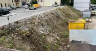 W centrum miasta wycięto ponad 30 drzew - zdjęcie 2