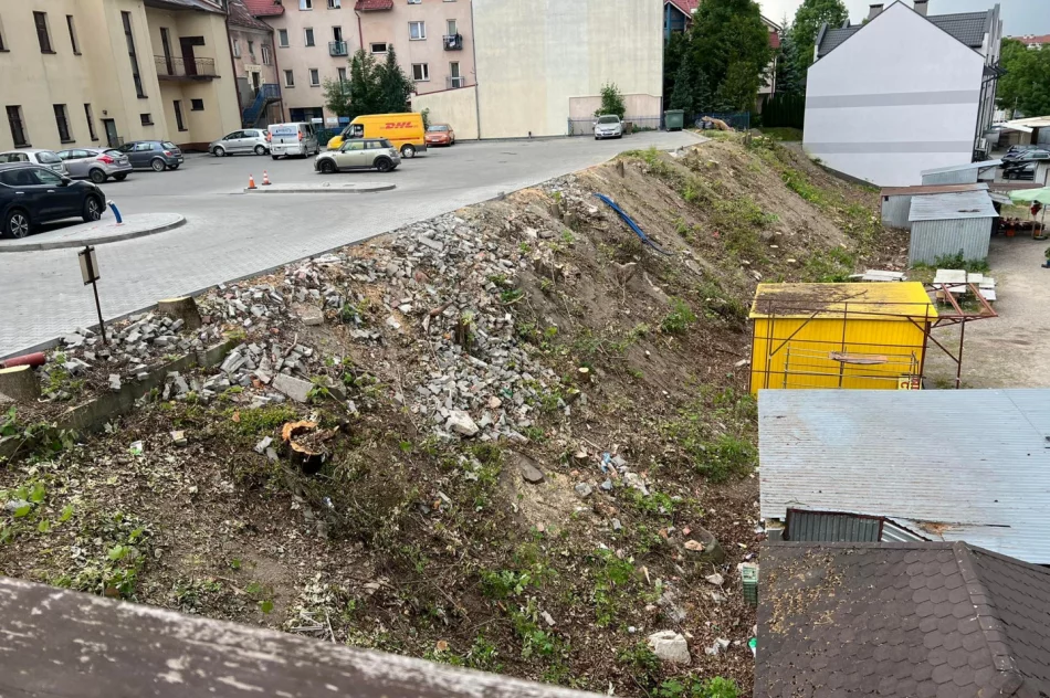 W centrum miasta wycięto ponad 30 drzew - zdjęcie 2
