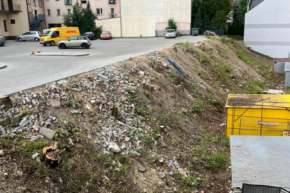 W centrum miasta wycięto ponad 30 drzew - zdjęcie 3