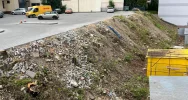 W centrum miasta wycięto ponad 30 drzew - zdjęcie 3