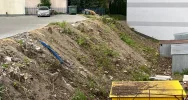W centrum miasta wycięto ponad 30 drzew - zdjęcie 4