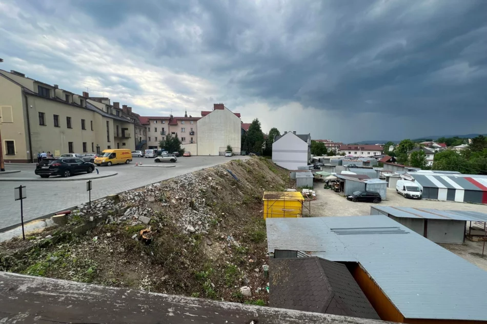 W centrum miasta wycięto ponad 30 drzew - zdjęcie 5