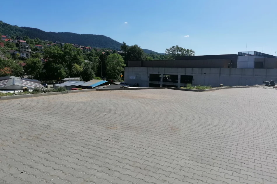 W centrum miasta wycięto ponad 30 drzew - zdjęcie 6