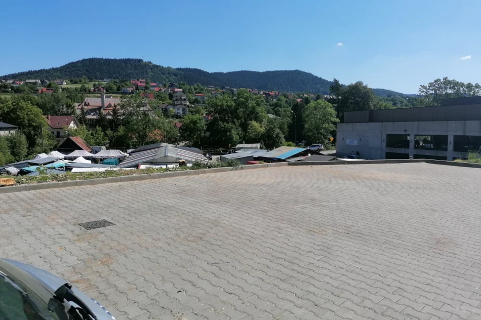 W centrum miasta wycięto ponad 30 drzew - zdjęcie 7