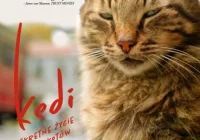 Kino Konesera – seans „Kedi – sekretne życie kotów” już 15 września! - zdjęcie główne