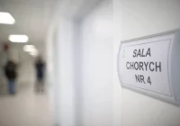 Odkryto, jak zwalczać raka bez chemio- i radioterapii - zdjęcie główne