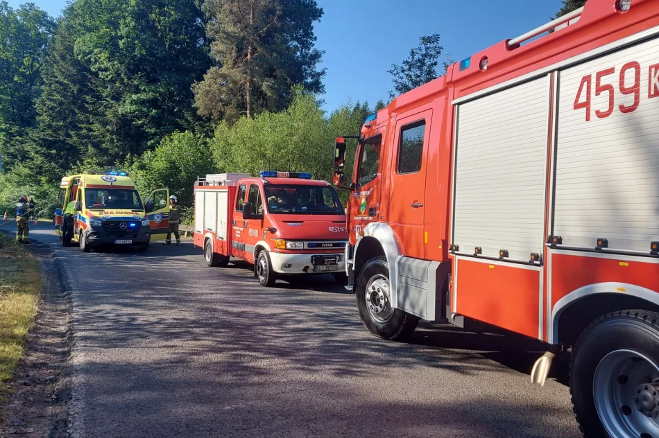 Wjechał do rowu - miał 3 promile - zdjęcie 2