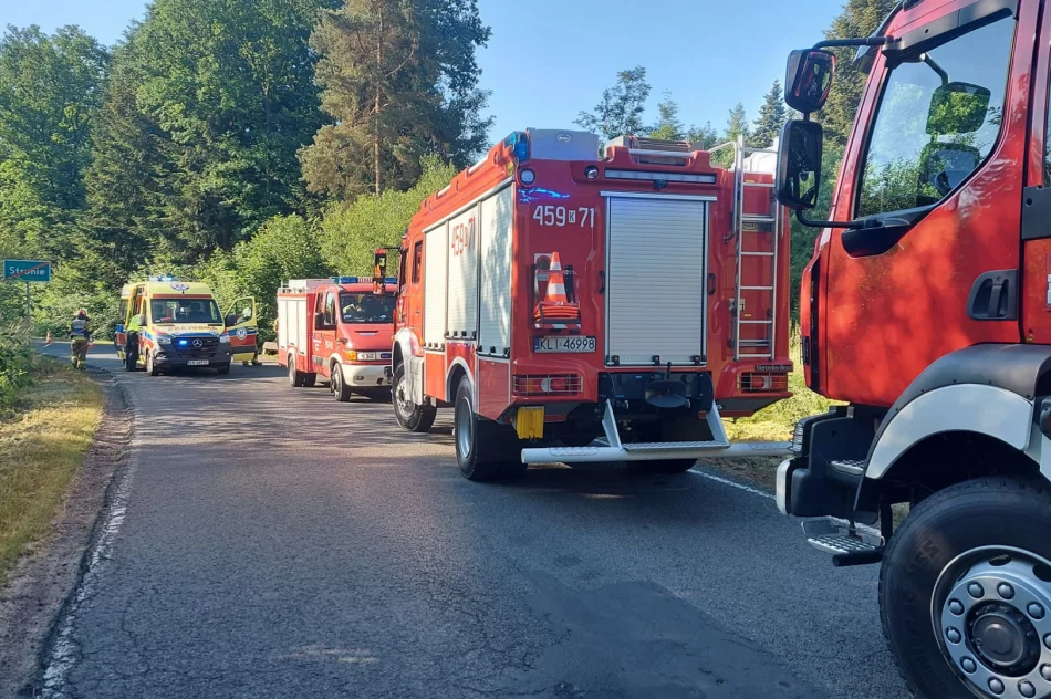 Wjechał do rowu - miał 3 promile - zdjęcie 3