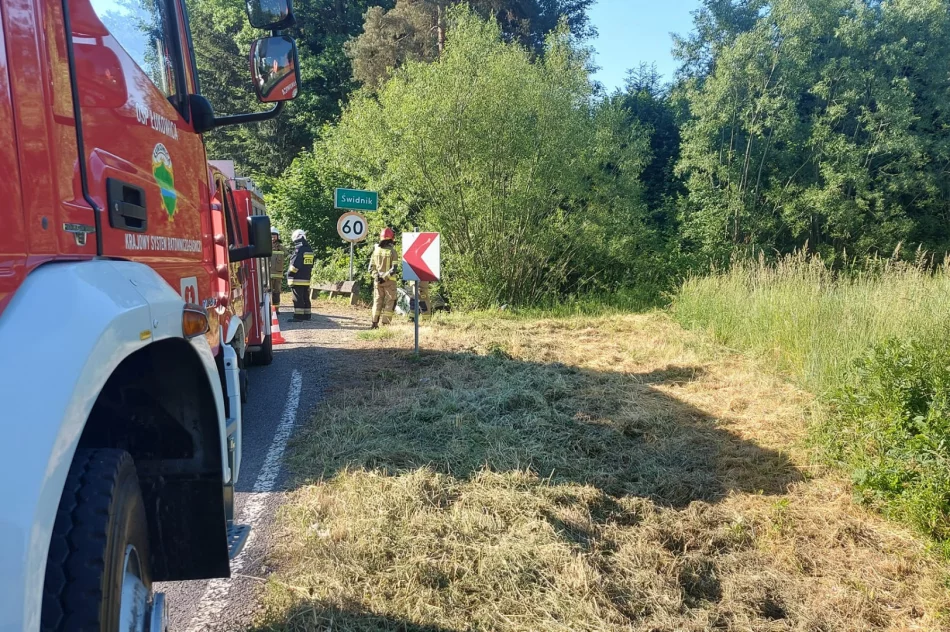 Wjechał do rowu - miał 3 promile - zdjęcie 4