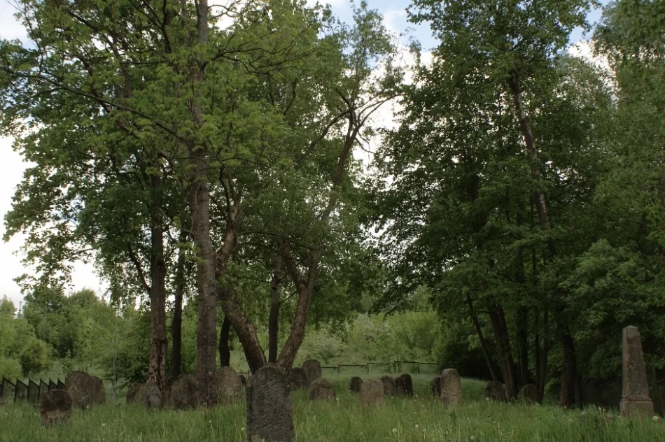 Druga nagroda i wyróżnienie dla uczennic ZSTI  - zdjęcie 2