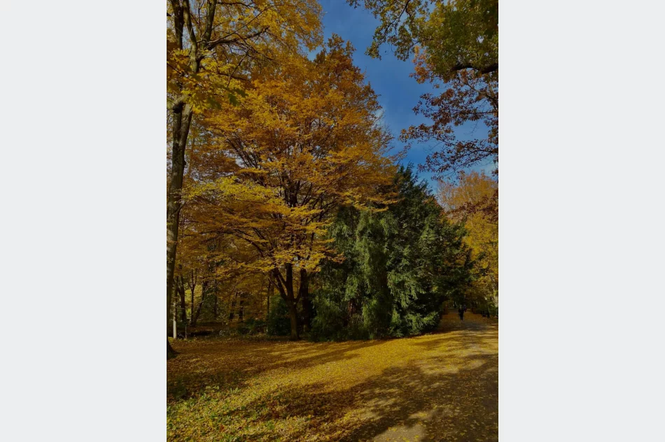 Druga nagroda i wyróżnienie dla uczennic ZSTI  - zdjęcie 3