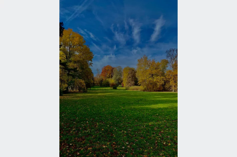 Druga nagroda i wyróżnienie dla uczennic ZSTI  - zdjęcie 4