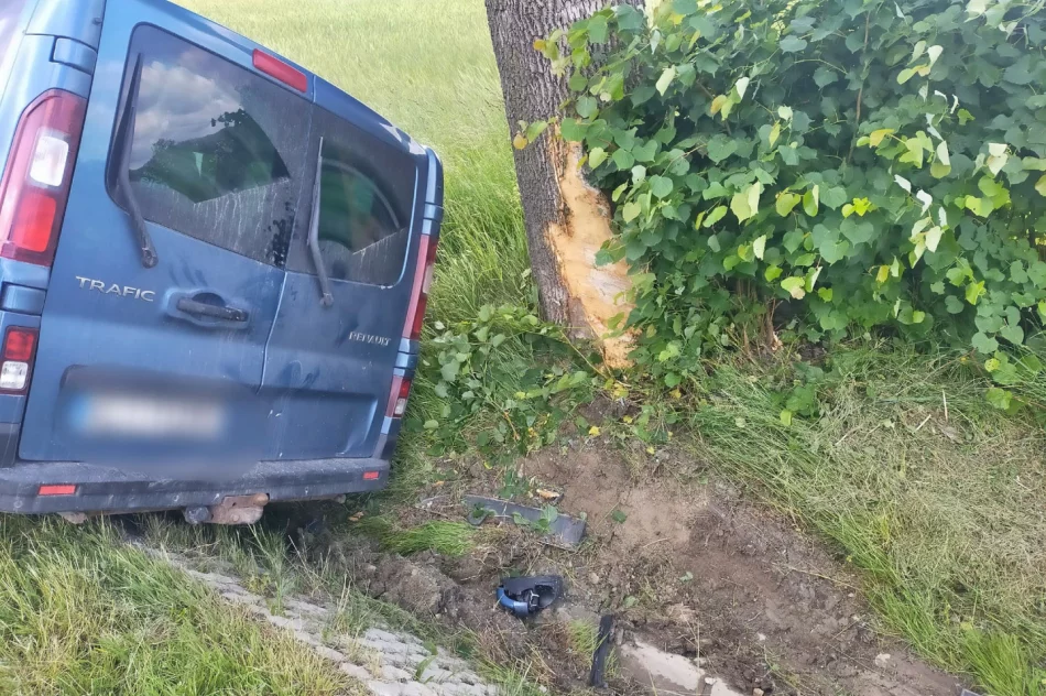 Trzy osoby, w tym małe dziecko, trafiły do szpitala - zdjęcie 2