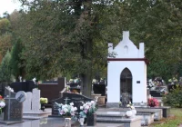 Kolejny spacer odkryje historię nekropolii - zdjęcie główne