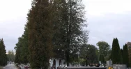 Kolejny spacer odkryje historię nekropolii - zdjęcie 2