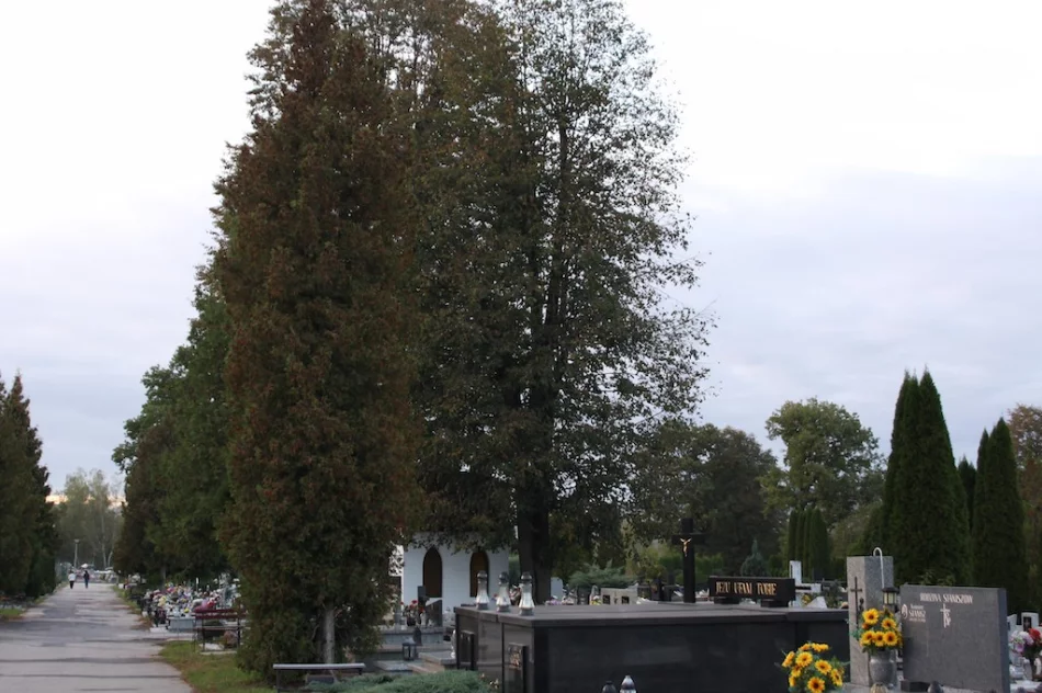 Kolejny spacer odkryje historię nekropolii - zdjęcie 2
