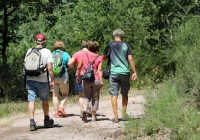 Spacer dla zdrowszych kolan - zdjęcie główne