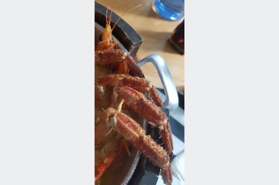 Daleka wyprawa do Portugalii w ramach projektu Erasmus + - zdjęcie 10