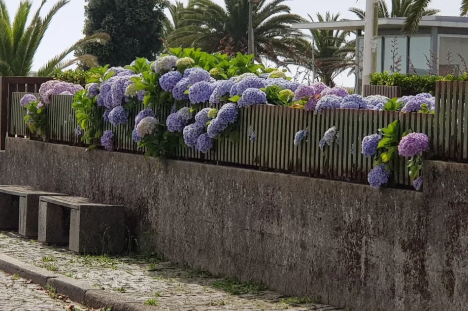 Daleka wyprawa do Portugalii w ramach projektu Erasmus + - zdjęcie 12