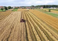 "W długiej perspektywie zboże na pewno nie będzie tanie" - zdjęcie główne