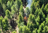 Strażacy gasili pożar w masywie Mogielicy - zdjęcie główne