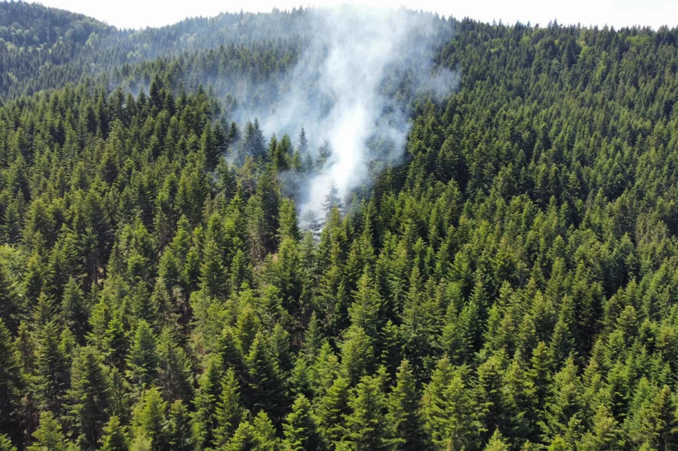 Strażacy gasili pożar w masywie Mogielicy - zdjęcie 2