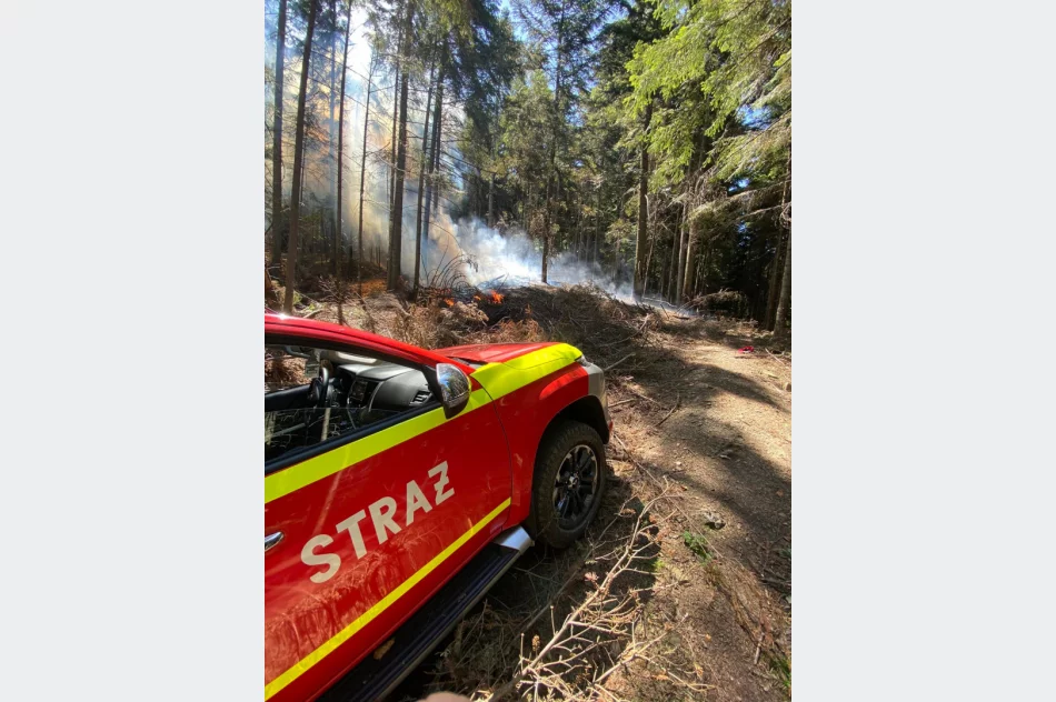 Strażacy gasili pożar w masywie Mogielicy - zdjęcie 3