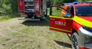 Strażacy gasili pożar w masywie Mogielicy - zdjęcie 4