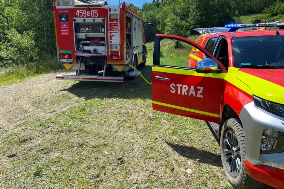 Strażacy gasili pożar w masywie Mogielicy - zdjęcie 4