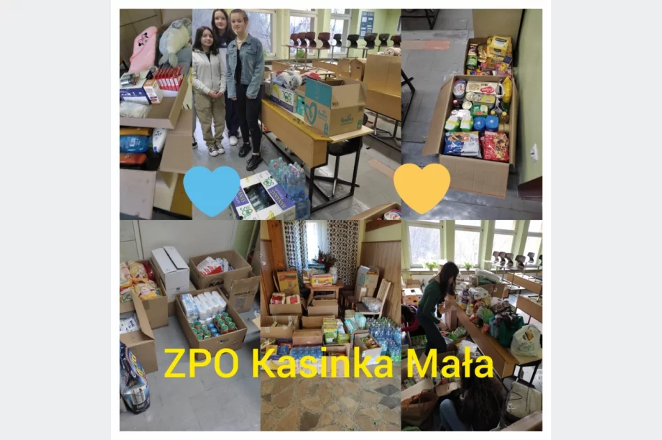 Szkolny wolontariat prężnie działał cały rok - zdjęcie 6