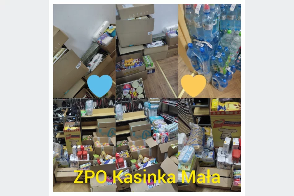 Szkolny wolontariat prężnie działał cały rok - zdjęcie 7