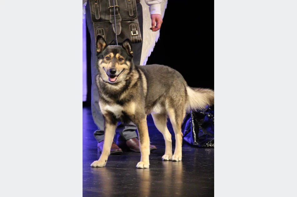 PREMIERA NOWEGO SPEKTAKLU pt.: „ZAŚWIATY, czyli CZY PIES MA DUSZĘ?” już za nami!  - zdjęcie 8