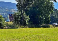 Zasnął za kierownicą i uderzył w drzewo - zdjęcie główne