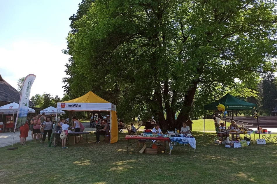 O bezpieczeństwie podczas rodzinnego pikniku - zdjęcie 9