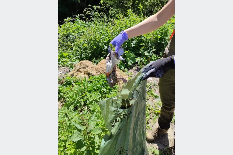 Sprzątali las: "królowały" puszki, szkło i opony - zdjęcie 5