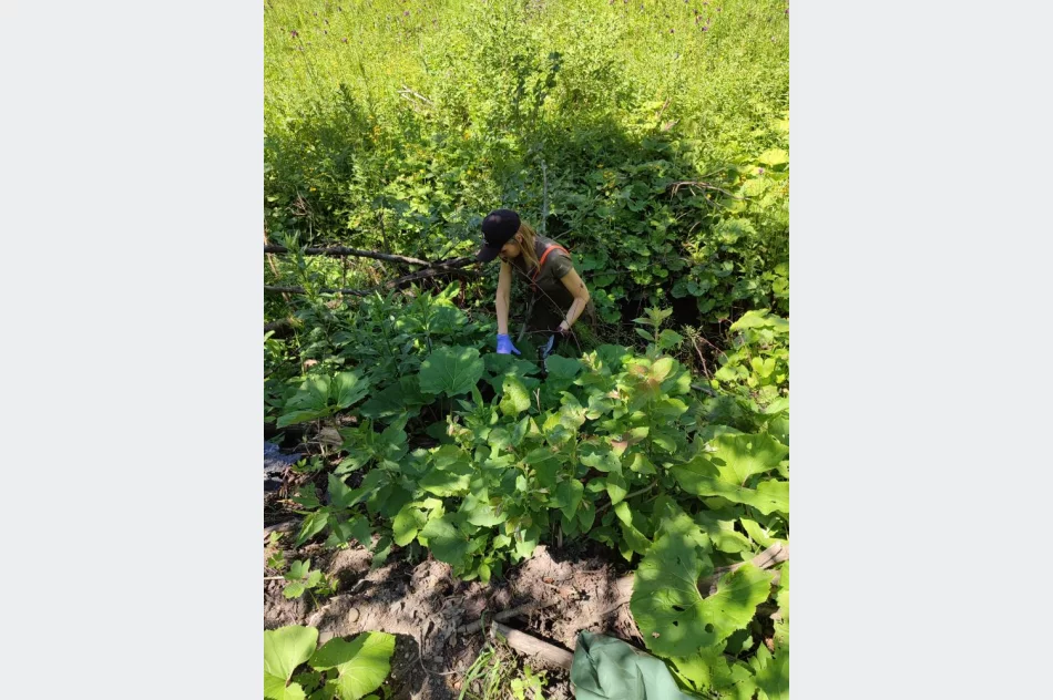 Sprzątali las: "królowały" puszki, szkło i opony - zdjęcie 6