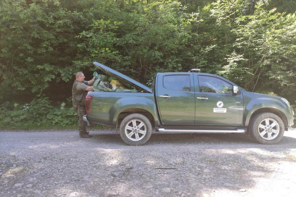 Sprzątali las: "królowały" puszki, szkło i opony - zdjęcie 8