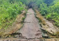 Fetor utrudnia wypoczynek w parku i uprzykrza życie sąsiadom - zdjęcie główne