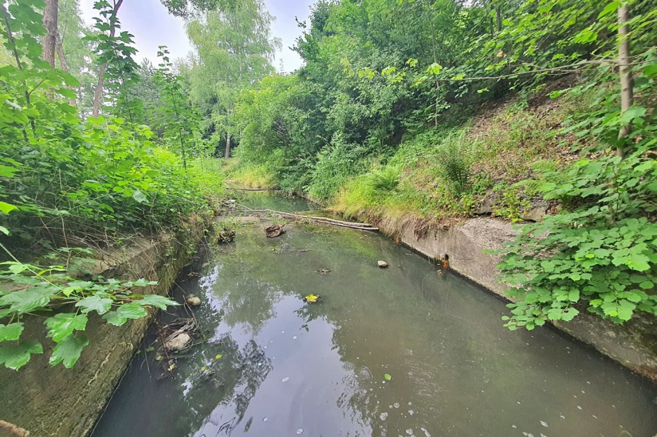 Fetor utrudnia wypoczynek w parku i uprzykrza życie sąsiadom - zdjęcie 2