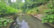 Fetor utrudnia wypoczynek w parku i uprzykrza życie sąsiadom - zdjęcie 2