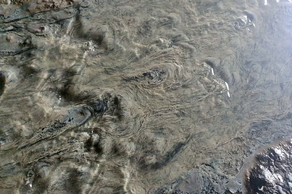 Fetor utrudnia wypoczynek w parku i uprzykrza życie sąsiadom - zdjęcie 4