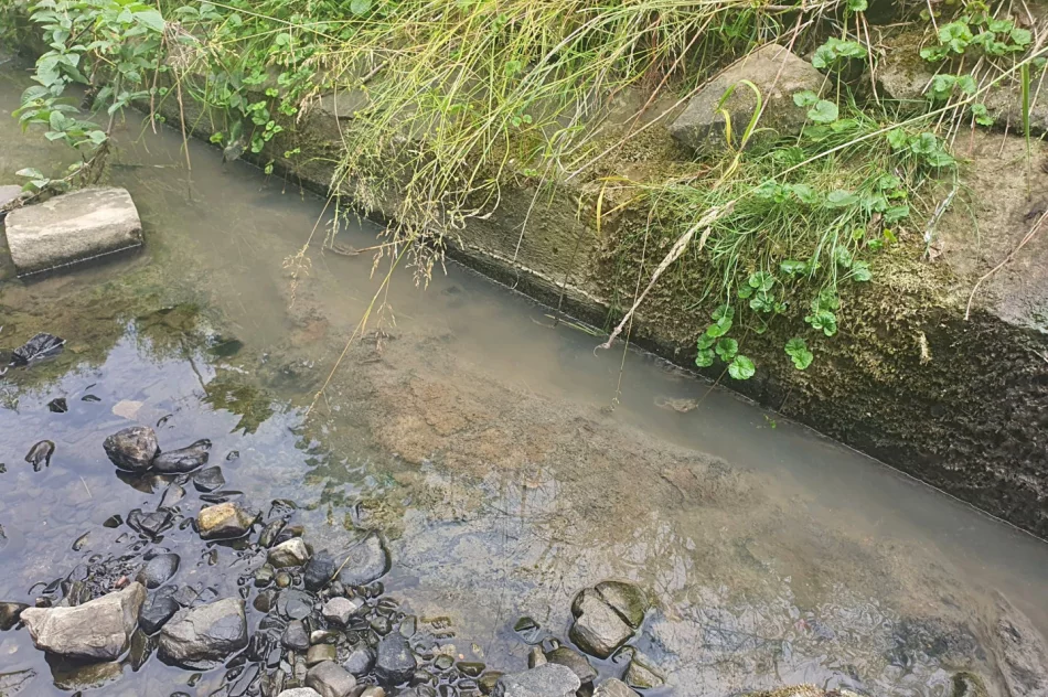 Fetor utrudnia wypoczynek w parku i uprzykrza życie sąsiadom - zdjęcie 5