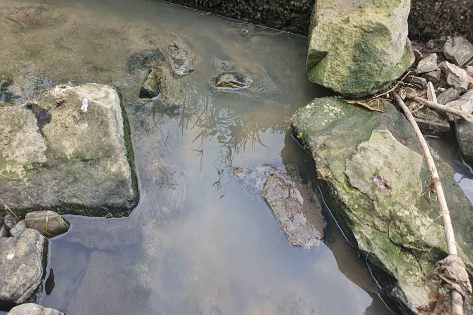 Fetor utrudnia wypoczynek w parku i uprzykrza życie sąsiadom - zdjęcie 6