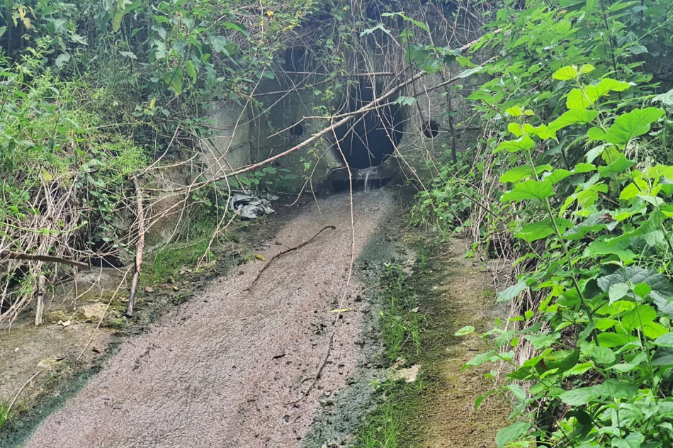 Fetor utrudnia wypoczynek w parku i uprzykrza życie sąsiadom - zdjęcie 7