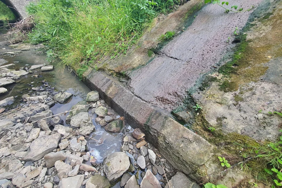 Fetor utrudnia wypoczynek w parku i uprzykrza życie sąsiadom - zdjęcie 8