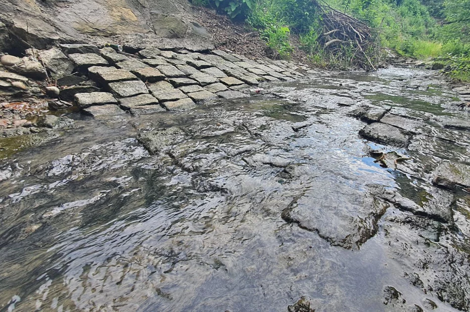Fetor utrudnia wypoczynek w parku i uprzykrza życie sąsiadom - zdjęcie 9