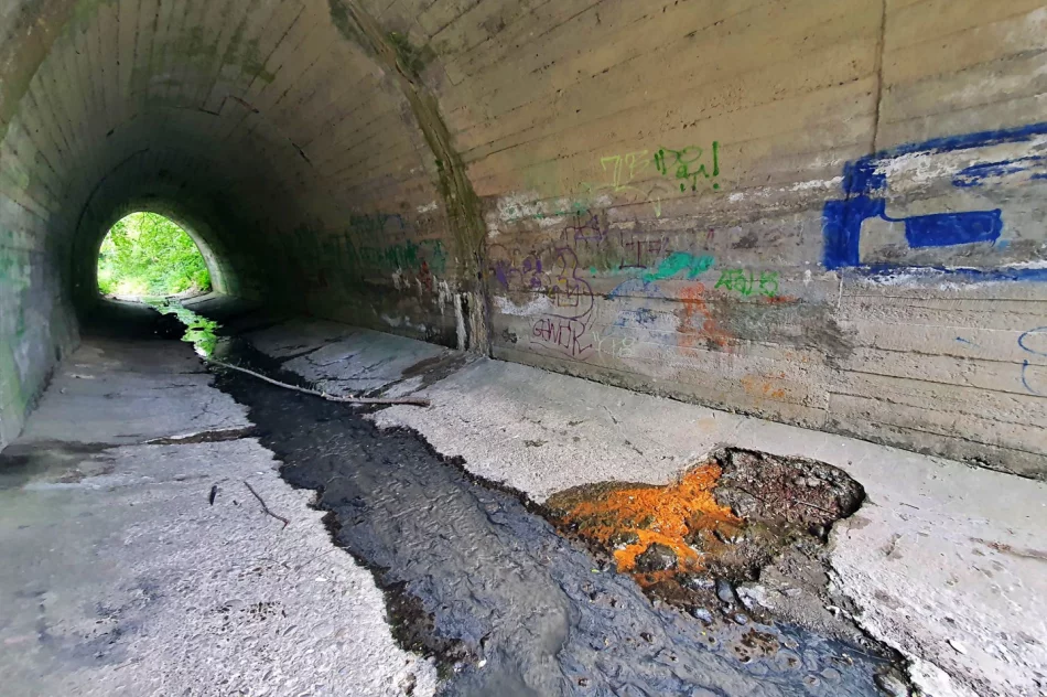 Fetor utrudnia wypoczynek w parku i uprzykrza życie sąsiadom - zdjęcie 10