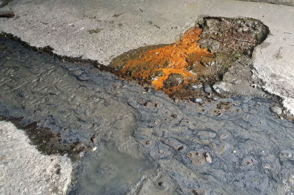 Fetor utrudnia wypoczynek w parku i uprzykrza życie sąsiadom - zdjęcie 11