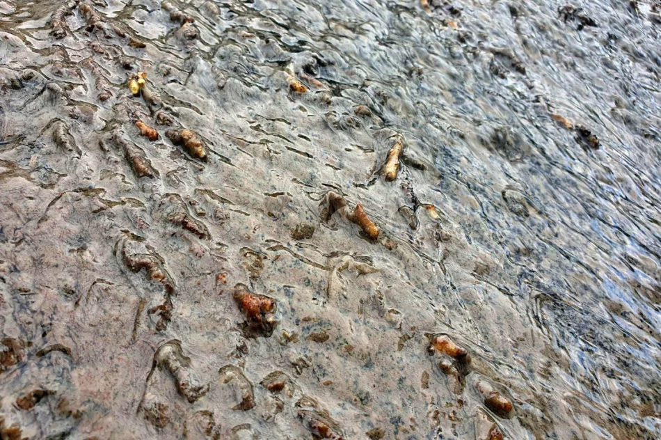 Fetor utrudnia wypoczynek w parku i uprzykrza życie sąsiadom - zdjęcie 12